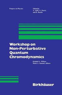 Cover image for Workshop on Non-Perturbative Quantum Chromodynamics