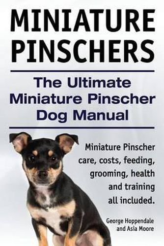 Cover image for Miniature Pinschers. The Ultimate Miniature Pinscher Dog Manual. Miniature Pinscher care, costs, feeding, grooming, health and training all included.