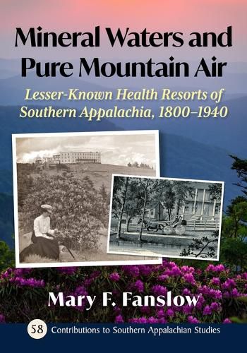 Cover image for Mineral Waters and Pure Mountain Air