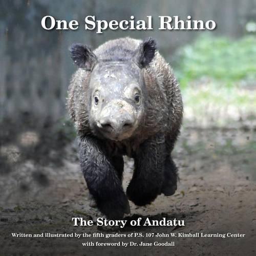 Cover image for One Special Rhino: The Story of Andatu