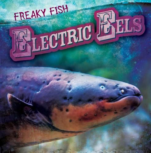 Cover image for Electric Eels