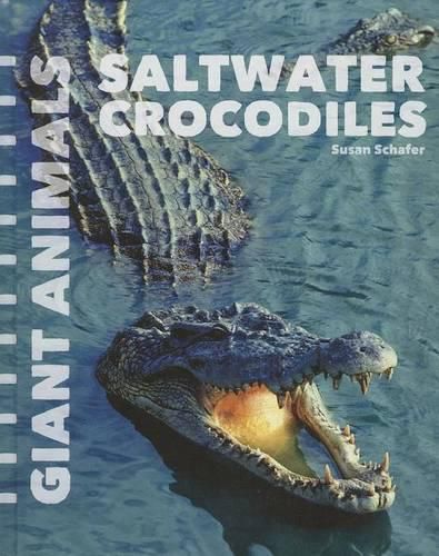 Cover image for Saltwater Crocodiles