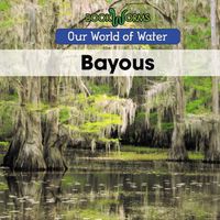 Cover image for Bayous