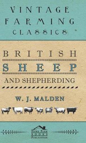 Cover image for British Sheep And Shepherding