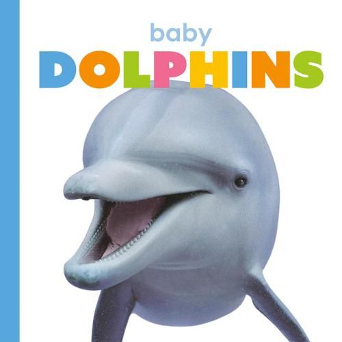 Cover image for Baby Dolphins