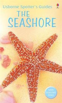 Cover image for The Seashore