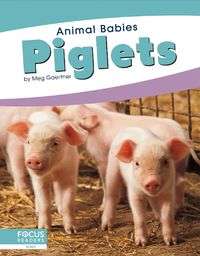 Cover image for Animal Babies: Piglets