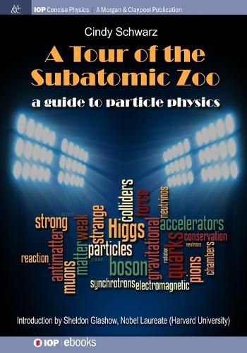 Cover image for A Tour of the Subatomic Zoo: A Guide to Particle Physics