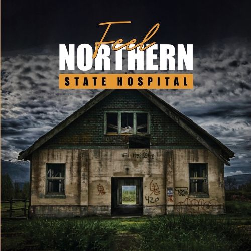 Cover image for Feel