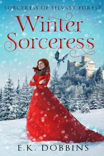 Cover image for Winter Sorceress