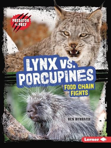 Lynx vs. Porcupines