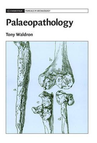 Cover image for Palaeopathology