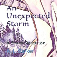 Cover image for An Unexpected Storm: A Scary Situation