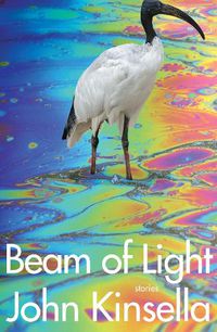 Cover image for Beam of Light: Stories