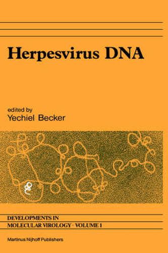 Cover image for Herpesvirus DNA: Recent studies on the organization of viral genomes, mRNA transcription, DNA replication, defective DNA, and viral DNA sequences in transformed cells and bacterial plasmids