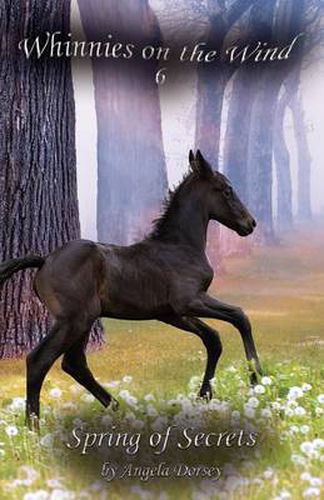 Cover image for Spring of Secrets: A Wilderness Horse Adventure