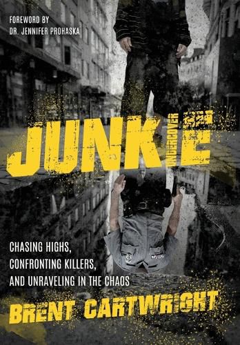 Cover image for Undercover Junkie