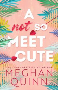 Cover image for A Not So Meet Cute