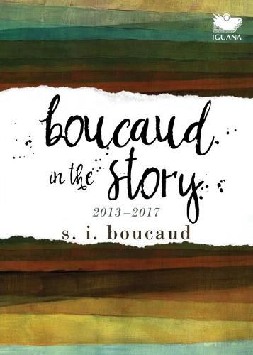 Cover image for Boucaud in the Story: 2013-2017