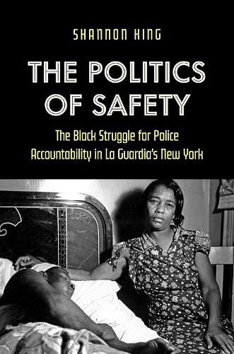 Cover image for The Politics of Safety