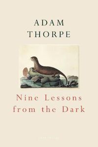 Cover image for Nine Lessons from the Dark