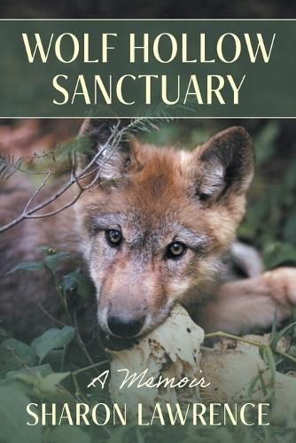 Cover image for Wolf Hollow Sanctuary