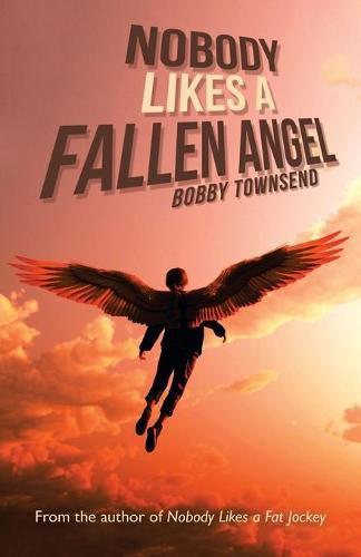 Cover image for Nobody Likes a Fallen Angel