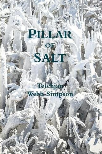 Cover image for Pillar of Salt