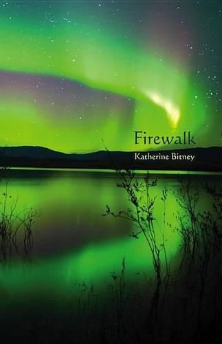 Cover image for Firewalk