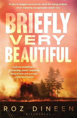 Cover image for Briefly Very Beautiful