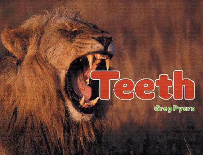 Cover image for Rigby Literacy Fluent Level 4: Teeth (Reading Level 25/F&P Level P)