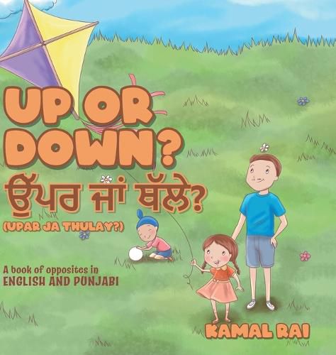 Cover image for Up or Down? &#2569;&#2673;&#2602;&#2608; &#2588;&#2622;&#2562; &#2597;&#2673;&#2610;&#2631;? (Upar ja Thulay?): A book of opposites in English and Punjabi