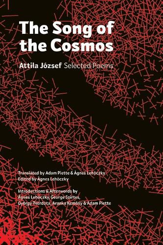 Cover image for The Song of the Cosmos