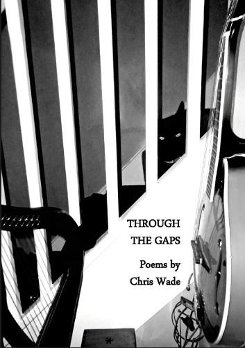 Cover image for Through the Gaps