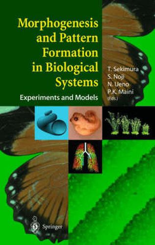 Morphogenesis and Pattern Formation in Biological Systems: Experiments and Models