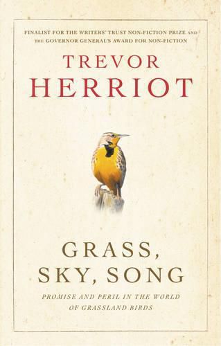 Cover image for Grass, Sky, Song: Promise And Peril In World Of Grassland Birds