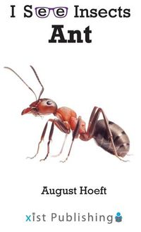 Cover image for Ant