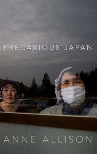 Cover image for Precarious Japan