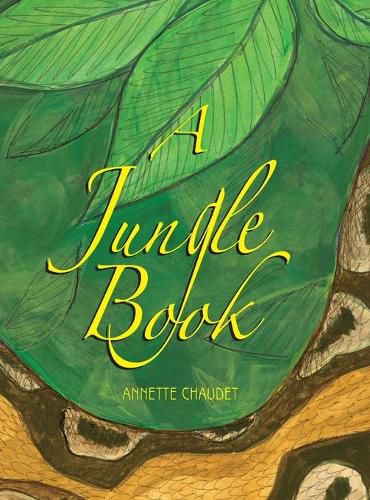 Cover image for A Jungle Book