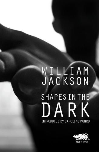 Cover image for Shapes in the Dark