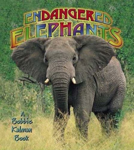 Cover image for Endangered Elephants