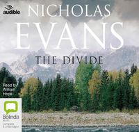 Cover image for The Divide