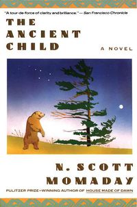 Cover image for The Ancient Child