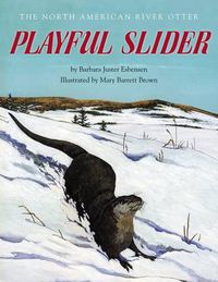 Cover image for Playful Slider: The North American River Otter