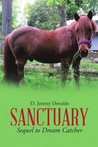 Cover image for Sanctuary: Sequel to Dream Catcher