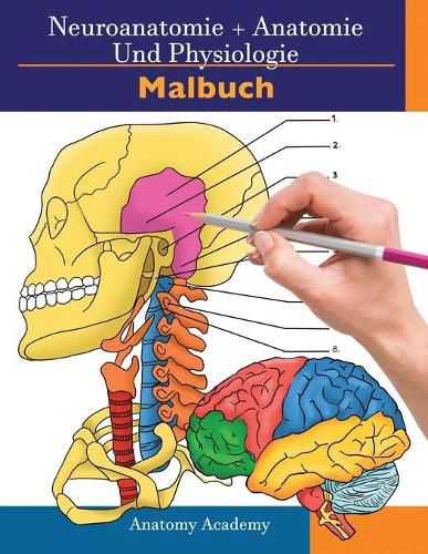 Cover image for Neuroanatomie + Anatomie und Physiologie Malbuch: 2-in-1-Sammlungssatz Unglaublich detailliertes Arbeitsheft mit Selbsttestfarben fur Studium und Entspannung