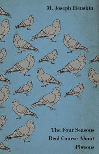 Cover image for The Four Seasons Real Course about Pigeons