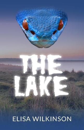 Cover image for The Lake