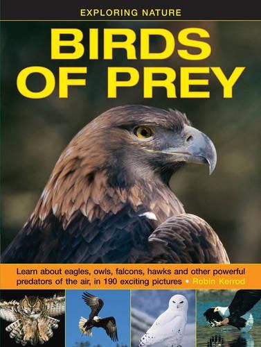 Cover image for Exploring Nature: Birds of Prey