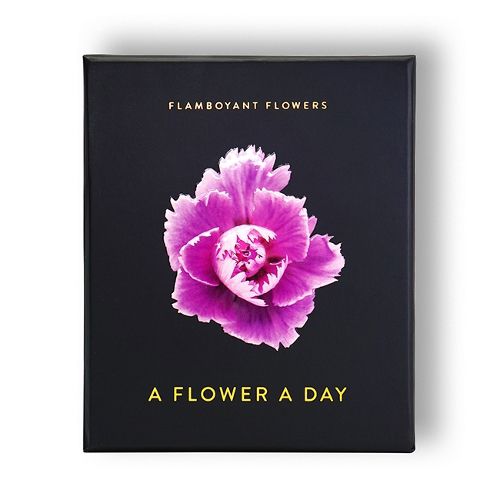 Cover image for Flamboyant Flowers